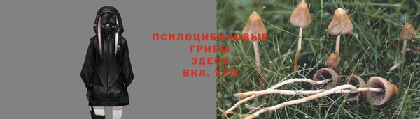 прущая мука Алексеевка