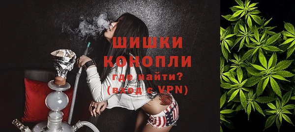 ешки Алзамай