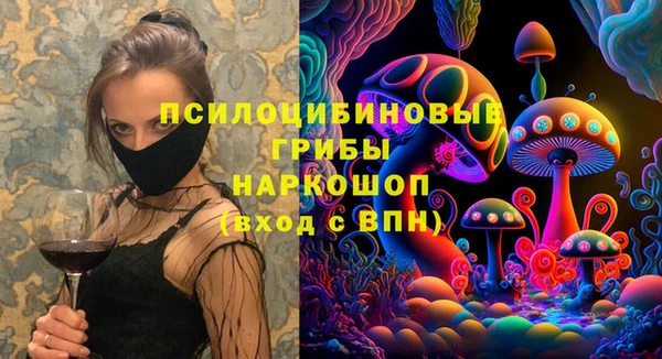 герыч Алексин