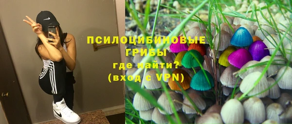 герыч Алексин